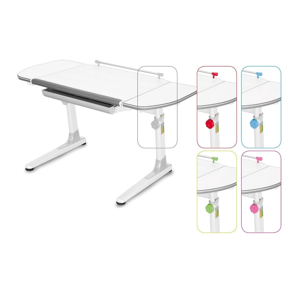 Mayer Biurko ergonomiczne rosnące razem z dzieckiem białe + 5 kolorów Profi3