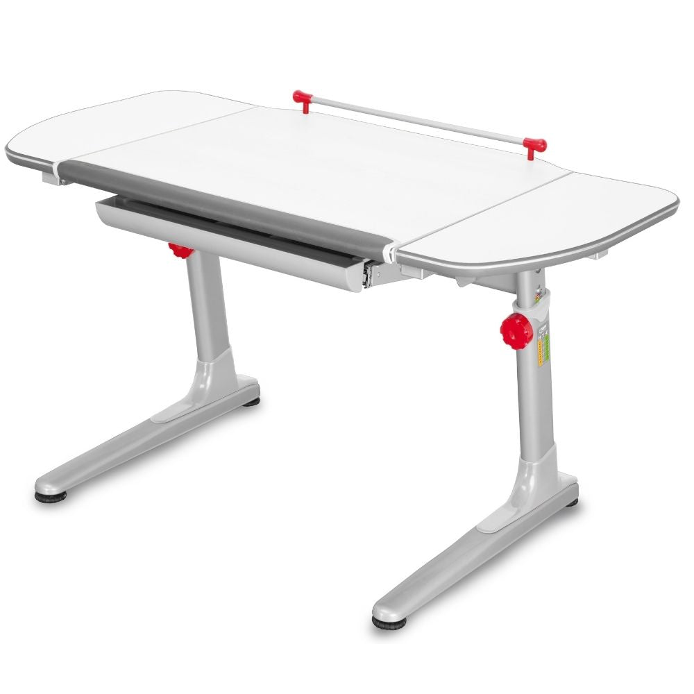 Mayer Biurko ergonomiczne rosnące razem z dzieckiem srebrno/białe Profi3 + 5 kolorów