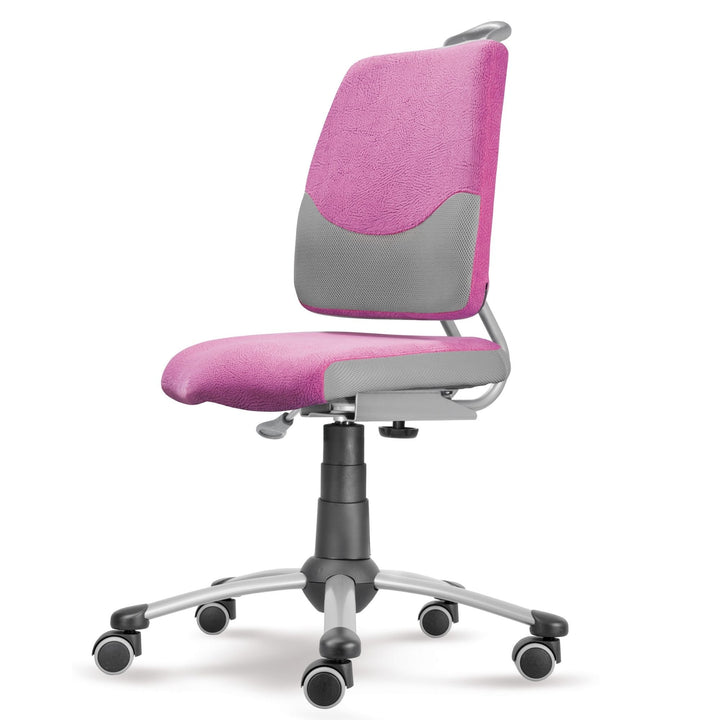 Mayer Ergonomiczne krzesło rosnące z dzieckiem Actikid A3 różowo/szare 1 wariant