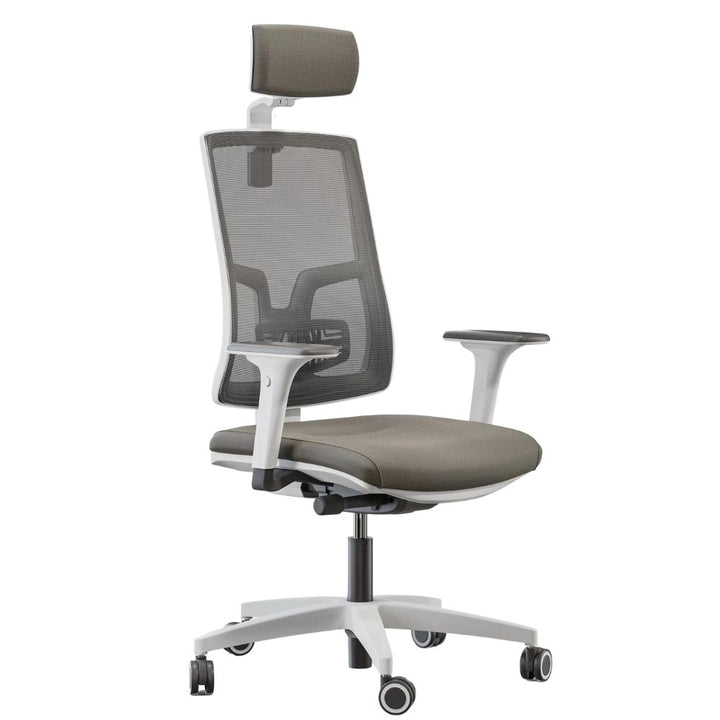 BGROUP Fotel ergonomiczny SKILL NET SKNW warianty