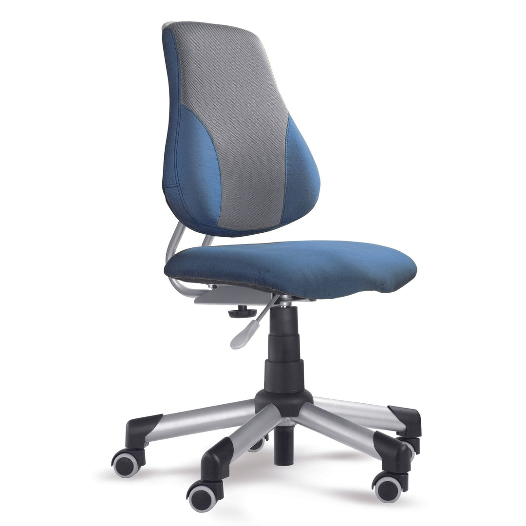 Mayer Ergonomiczne krzesło rosnące z dzieckiem Actikid A2 niebiesko/szare